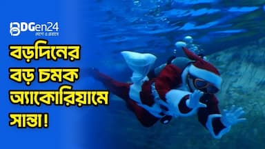 বড়দিনের বড় চমক অ্যাকোরিয়ামে সান্তা!