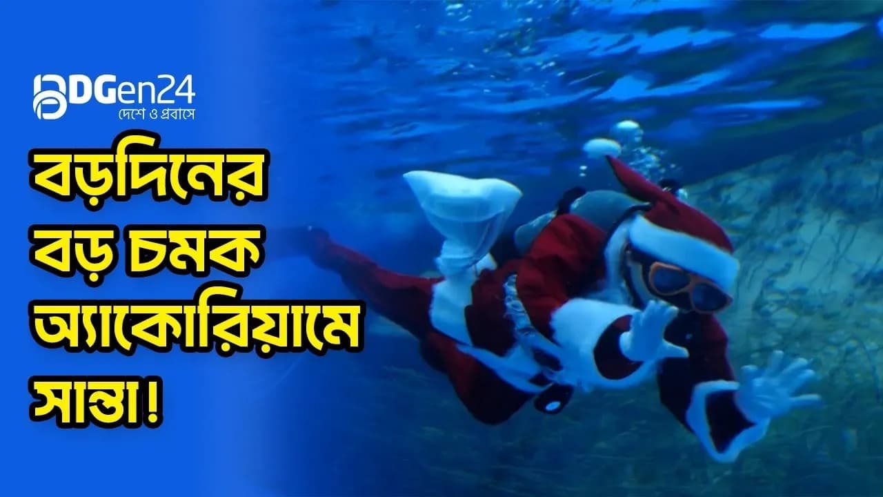 বড়দিনের বড় চমক অ্যাকোরিয়ামে সান্তা!