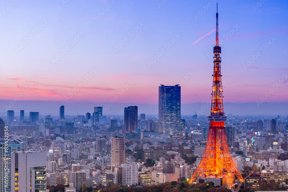 জাপানে জনশক্তি রপ্তানি বাড়াতে অন্তর্বর্তী সরকারের একগুচ্ছ সিদ্ধান্ত