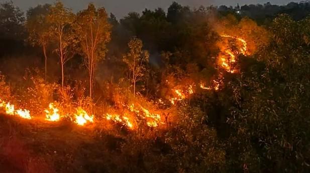সিলেটে এমসি কলেজের টিলায় আগুন