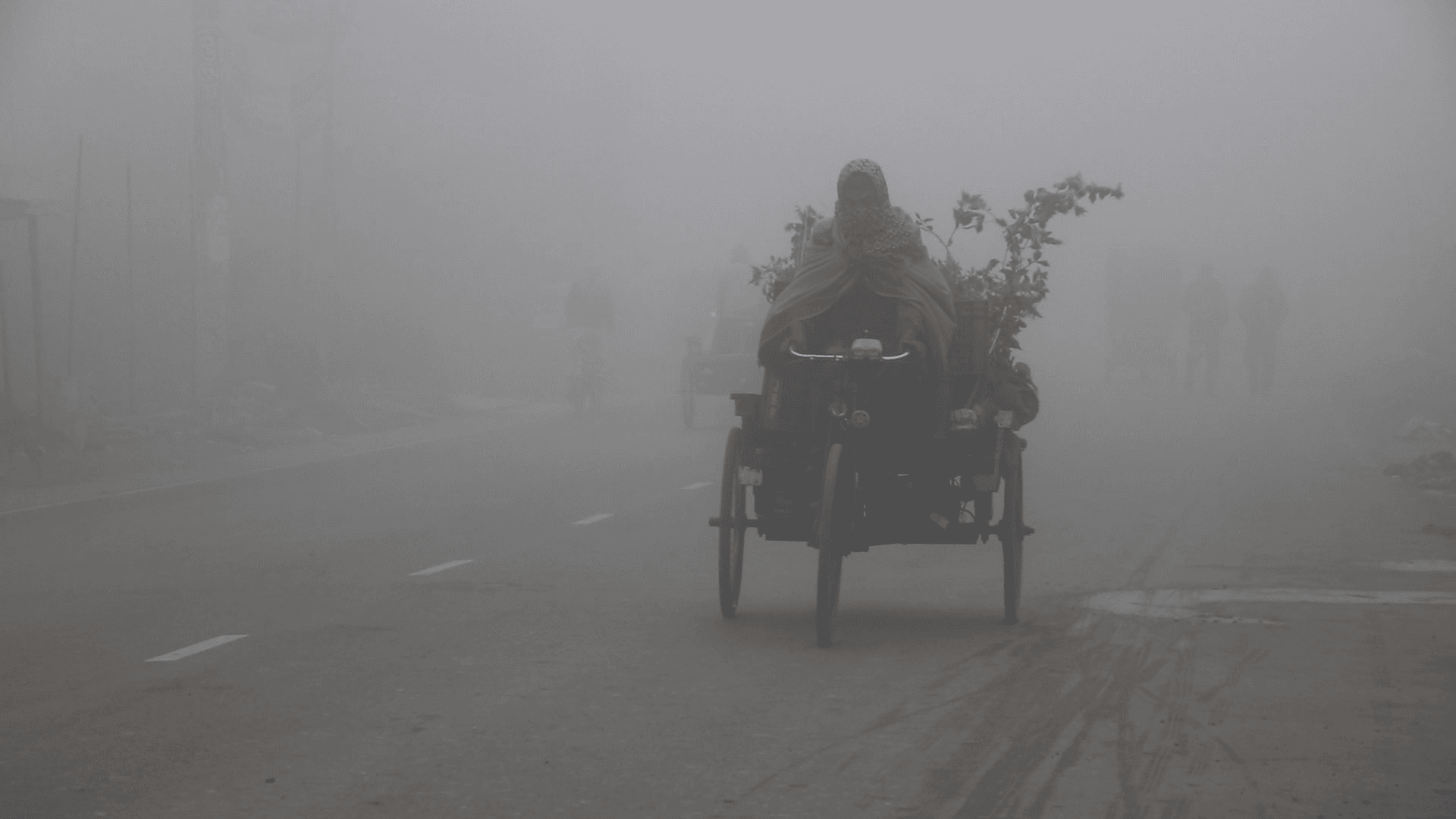 হিমেল বাতাসের দাপটে নওগাঁয় থমকে দাঁড়িয়েছে জনজীবন