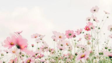 কবিতা: গল্পের ভাঁজ