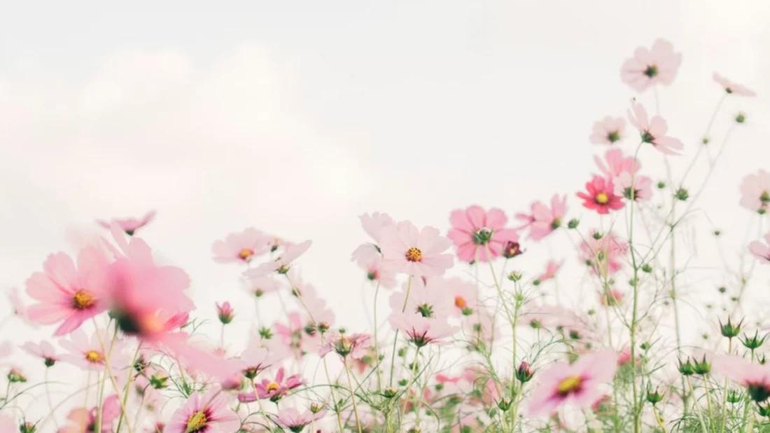 কবিতা: গল্পের ভাঁজ