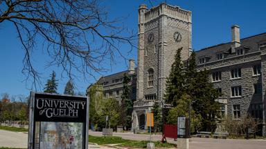 কানাডার বিশ্ববিদ্যালয়ে স্কলারশিপ, থাকছে যে সুবিধা