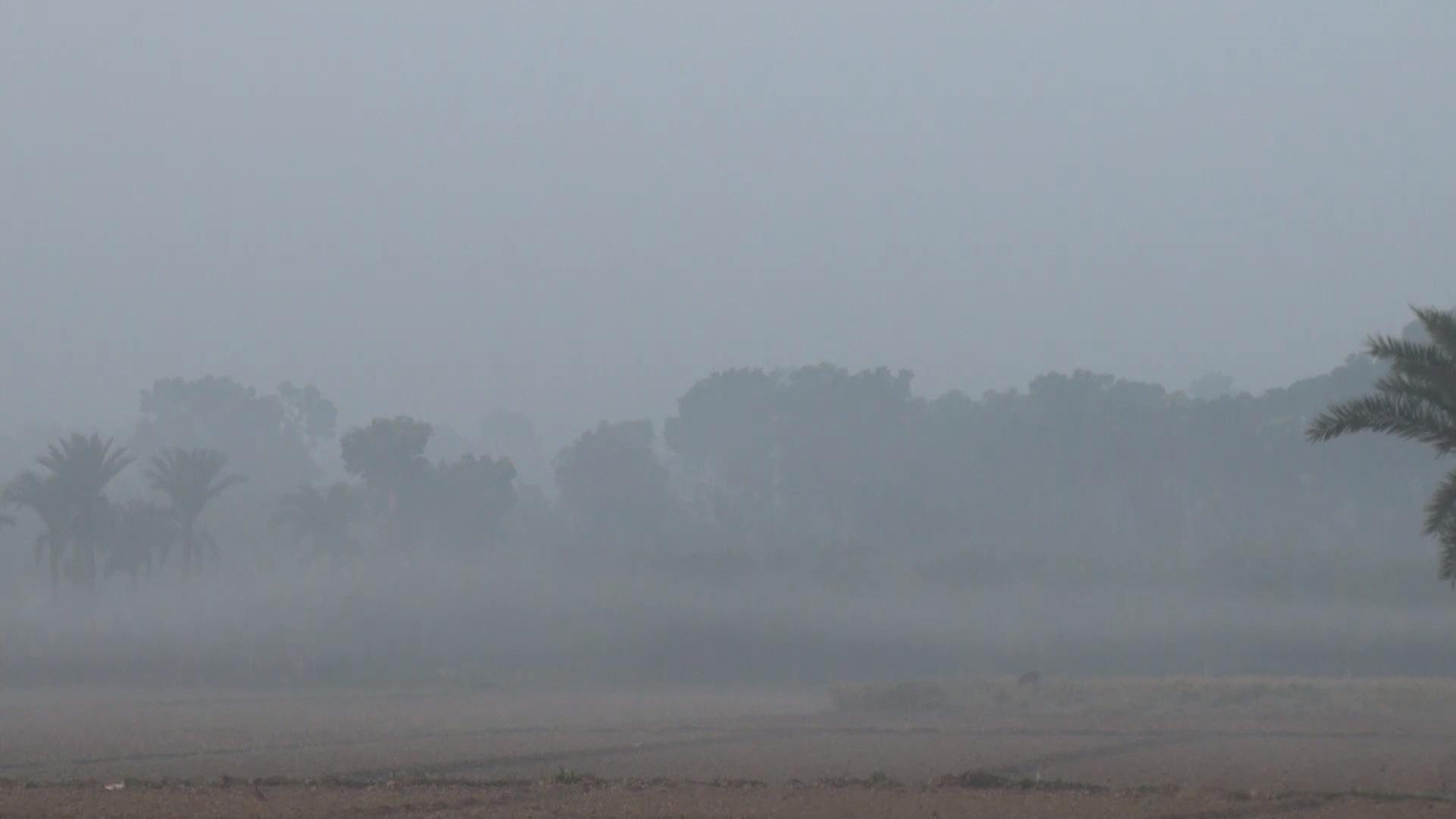 বাংলাদেশের সর্বনিম্ন তাপমাত্রা চুয়াডাঙ্গা ও গোপালগঞ্জে