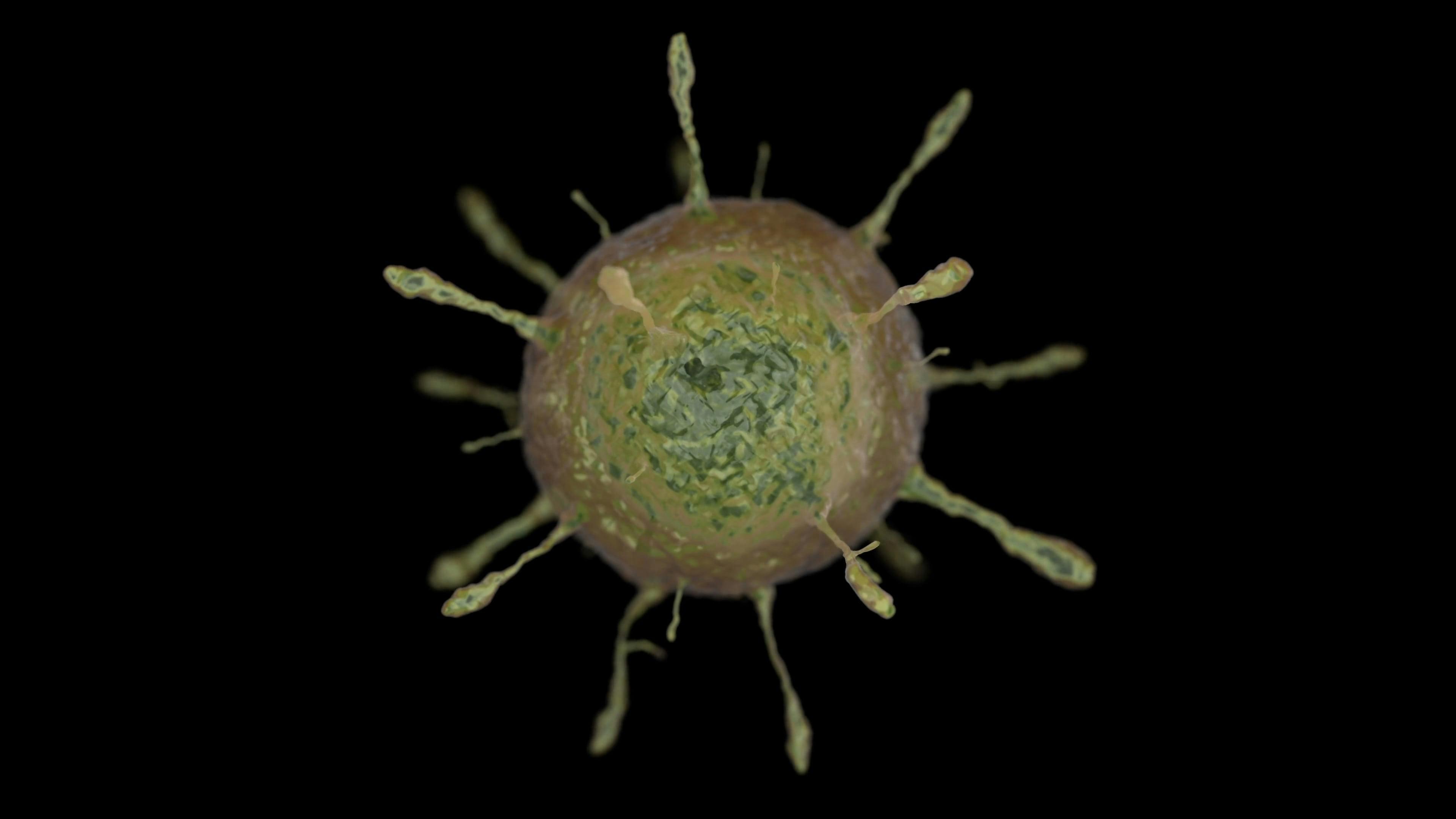 দেশে প্রথমবারের মতো শনাক্ত হওয়া রিওভাইরাস কতটা গুরুতর