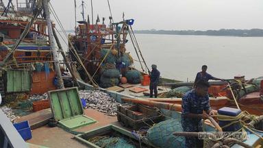 ভারত থেকে ফিরছেন ৯০ বাংলাদেশি জেলে, নিজ দেশে ফিরছেন ৯৫ ভারতীয়