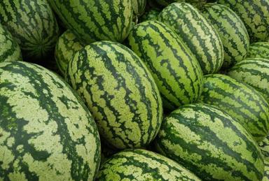 ভালো তরমুজ চিনবেন যেভাবে